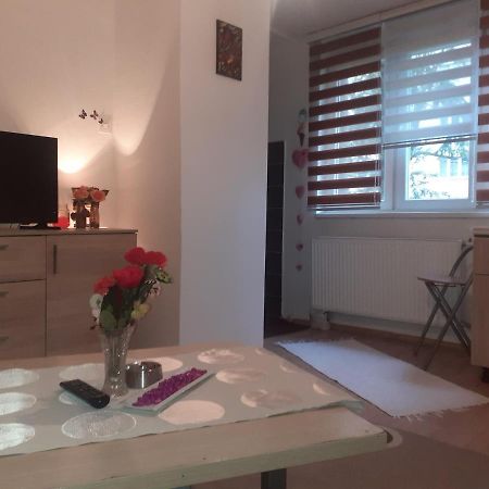 Ada Apartman Διαμέρισμα Σαράγεβο Εξωτερικό φωτογραφία